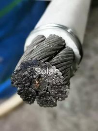 Mechanically Spliced Thimble Wire Cable Sling With PVC PE Coated Surface